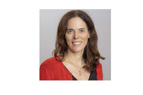 Social Media are a Threat for Democracy! A Political Perspective for Analyzing and Diminishing Harm