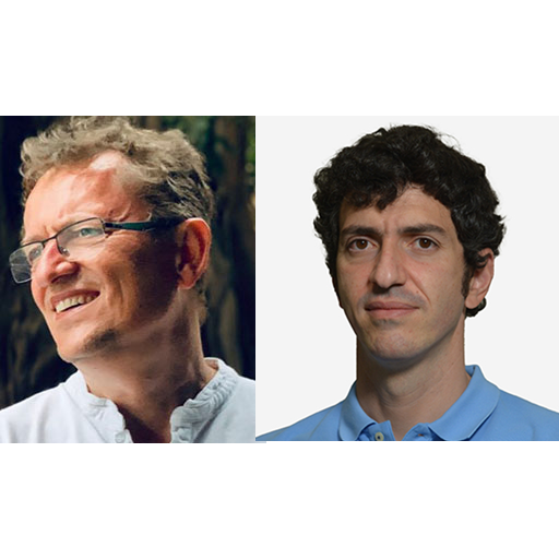 La cultura como dimensión estructural de la innovación y el desarrollo territorial: una doble mirada desde la investigación y la práctica